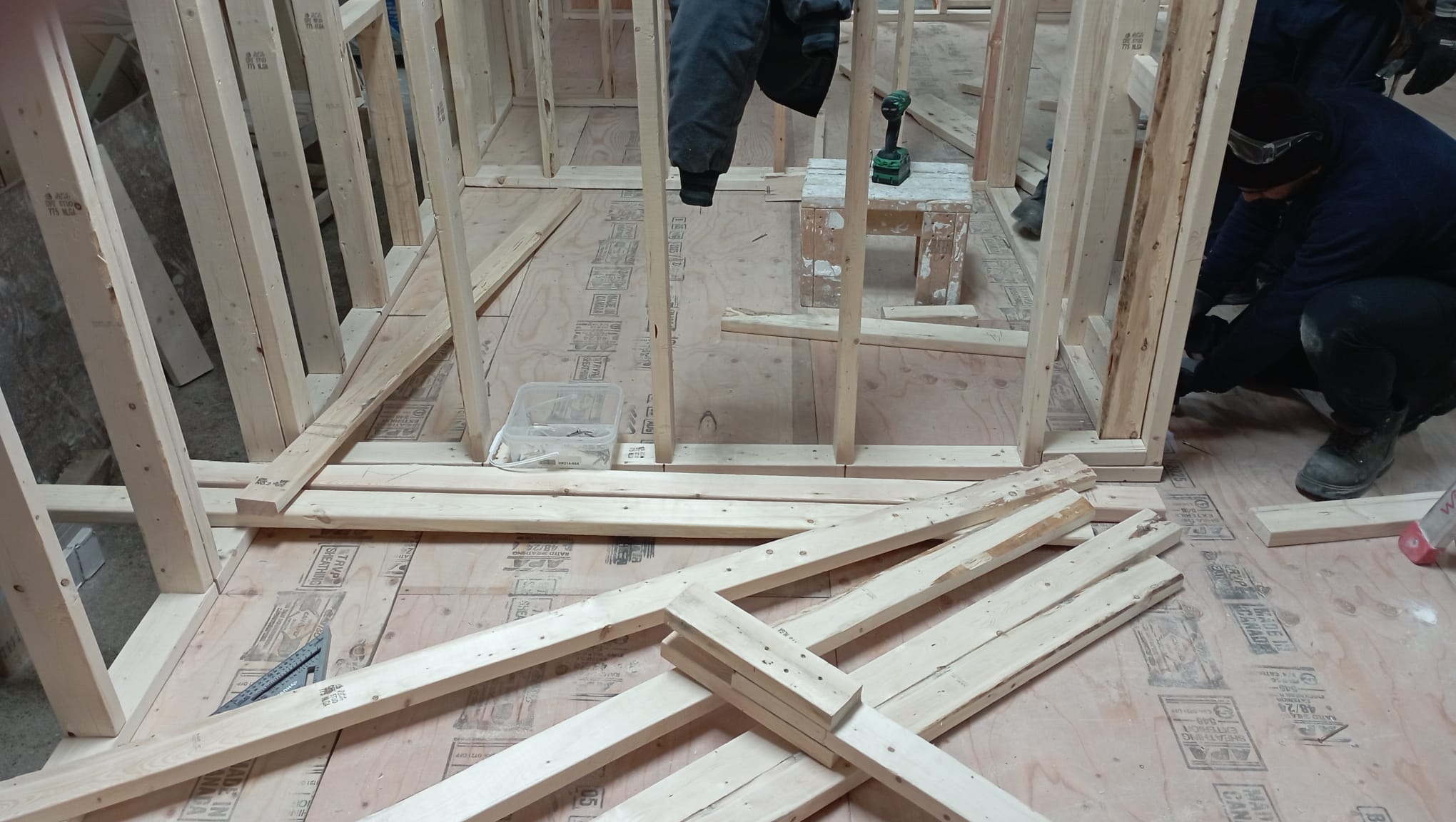 Wood wall framing on a plywood subfloor during a basement build-out